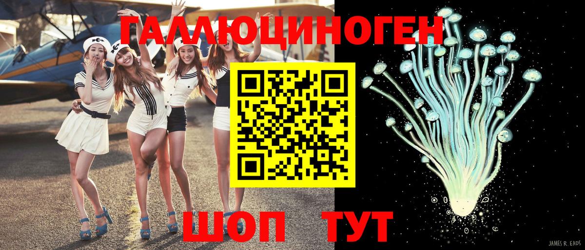 Строитель  Галлюциногенные грибы Psilocybine cubensis  Вход с VPN 